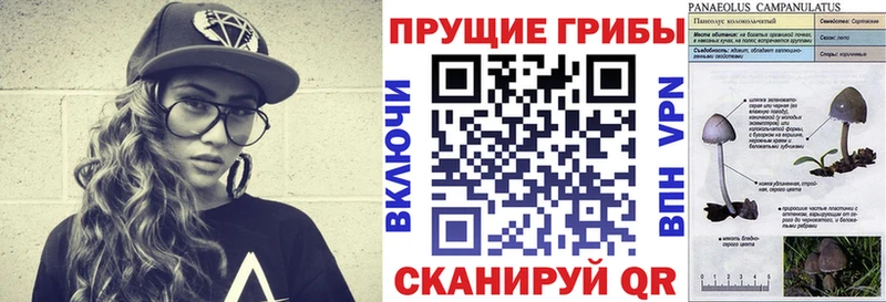 Галлюциногенные грибы прущие грибы  Купить  Березники 